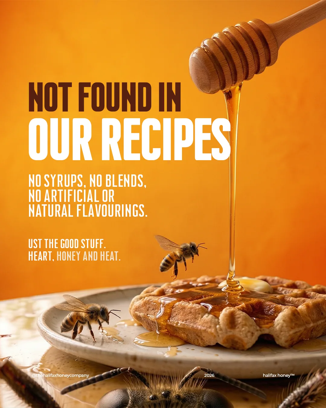 Halifax Honey Co., Growth